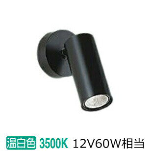 大光電機 直付型スポットライト 屋内用 DSL4902ABG 工事必要