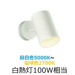 樂天商城 - 大光電機 スポットライト DSLCD210W 調色調光 白熱灯100W相当 屋内用 工事必要