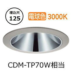 乐天商城 - ※メーカー欠品中※ 大光電機 アウトドアダウンライト カットオフ35° 工事必要 LLD7059YUB3