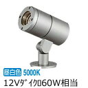 大光電機 アウトドアスポットライト(灯具のみ 単体使用不可) LLS7097WUM 工事必要