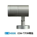 大光電機 アウトドアスポットライト LLS7103NUM 工事必要