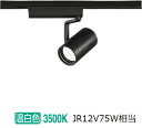 ダクトレール スポットライト 照明 ライト レールライト par16 E11 LED電球付き 60W 黒 白 DLS509F5611D36 ビームテック