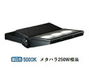 大光電機 アウトドアスポット フランジ・アーム別売 LZW91344WBE 工事必要