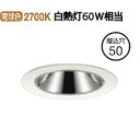 大光電機 ダウンライト（電源別売） LZD93108LWW 工事必要