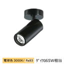 大光電機 シリンダースポット LZS-9117YBW5 800クラス Φ50 ダイクロ65W相当 3000K 高演色 工事必要