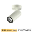 大光電機 シリンダースポット LZS-9117YWW5 800クラス Φ50 ダイクロ65W相当 3000K 高演色 工事必要