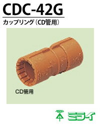 ̤蹩ȡۥåץ(CD)CDC-42G(2