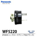 yPanasonicz2P20ALbvWF5220