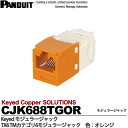【PANDUIT】KeyedモジュラージャックTX6 TMカテゴリ6モジュラージャックモジュラージャック色：オレンジCJK688TGOR