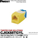 【PANDUIT】TX6A TM 10Gig TMカテゴリ6A配線システムカテゴリ6Aモジュラージャックモジュラージャック色：黄CJ6X88TGYL