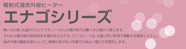 【インターセントラル】エナゴシリーズ輻射式遠赤外線ヒーターEEシリーズEE(天吊タイプ)スチール製／粉体塗装仕上サーモスタット別売200V/0.75kwEE-750