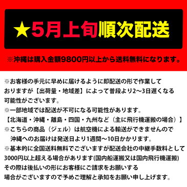 【タイプA | 500ml x 1本】5月上旬順次配送 送料無料 エタノール ハンドジェル エタノール ヒアルロン酸Na 保湿 アロエベラ葉エキス配合 エタノール消毒液 ハンドジェル 韓国製 ウイルス対策 手指 除菌 殺菌 消毒用 エタノールジェル 大容量 除菌ジェル