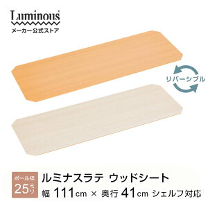 ラテ専用パーツ パーツ 専用 幅110 奥行40 ラック 収納ラック おしゃれ リバーシブル スチールラック キッチンラック シェルフ レンジラック 棚 マガジンラック ランドリー 木目 幅109.5 奥行39 厚み0.5cm EHE1140S ホワイト 白 グレー ベージュ