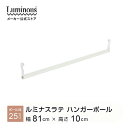 パーツ ラテ専用パーツ ハンガーポール 幅80 ポール径25mm 幅81cm棚板用 高さ10cm ラック 収納ラック キッズ 子ども部屋 おしゃれ シェルフ 棚 マガジンラック ランドセルラック ランドリーラック ディスプレイラック 洋服 ラテラック HP-080