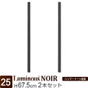 ルミナス 公式 ノワール ラック パーツ ポール 高さ70 基本ポール 2本セット 柱 ポール径25mm 黒 ブラック おしゃれ 業務用 スチールラック カラーラック 収納 棚 メタル キッチン ランドリー カスタム DIY 標準アジャスタ付属 部品 長さ67.5cm NOP-070SL