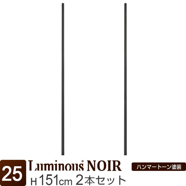 ルミナス 公式 ノワール ラック パーツ ポール 高さ150 基本ポール 2本セット 柱 ポール径25mm 黒 ブラック おしゃれ 業務用 スチールラック カラーラック 収納 棚 メタル キッチン ランドリー カスタム DIY 標準アジャスタ付属 部品 長さ151cm NOP-150SL