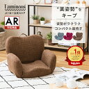 ★25日限定! ポイント5倍★ランキング獲得商品★座椅子 コンパクト 姿勢 姿勢が良くなる 姿勢矯正 おしゃれ 肘掛 小さい かわいい テレワーク 腰痛 1人掛け バランスチェア 座イス 椅子 レッド グレー ブラウン 子供 高齢者 チェア美姿勢 持ち運び 腰 DZSR-BR GY RD 姿勢