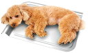 ペティオ (Petio) 犬猫用 広々寝そべれるクールアルミピローシート SSX Lサイズ