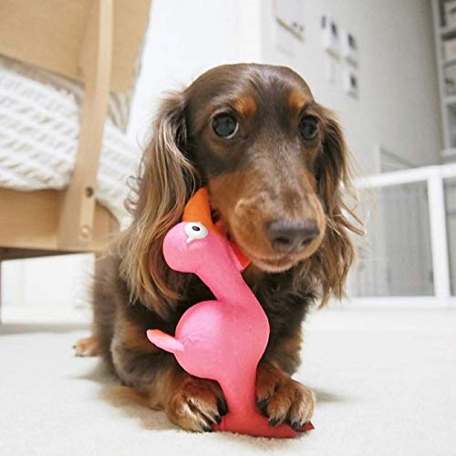 ルミナスエイト 楽天市場店のPLATZ PET SUPPLISES&FUN(プラッツ) 犬用おもちゃ スクリーミングチキン ピンク｜アングル3