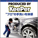 キーパー(KeePer) 技研(KeePer技研) コーティング専門店の虫とりクリーナー 300mL I-03