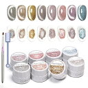 マグネットジェル Coikaze フラッシュマグネットネイル オーロラフラッシュキャッツアイジェル 反射 猫目 ギャラクシー ジェルネイル 8色