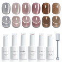 Coikaze マグネットネイル ジェルネイル マグネットジェル キャッツアイジェル セルフネイル カラージェル 猫目 ギャラクシー ネイル ジ