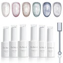 ジェルネイル Coikaze マグネットネイルジェル 6色セット キャッツアイジェル ギャラクシーネイル カラージェル 猫目 ネイル ジェル 磁