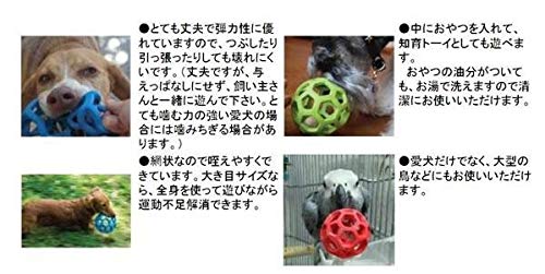 JW Pet Company���Ѥ������ �ۡ��꡼�����顼�ܡ��� L������ ��å�