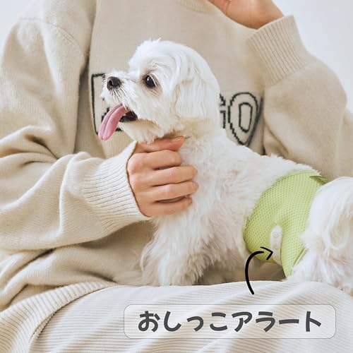 ルミナスエイト 楽天市場店のWICKEDPUP 犬用マナーベルトキット、おむつライナー50枚とホルダー1枚付き（サイズ0：腰まわり約26-35CM）｜アングル3