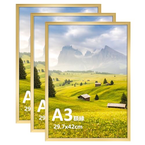GIFT GARDEN 額縁 フォトフレーム A3 サイズ 賞状額 軽量 壁掛け タイプ 金色 飾り 3枚 セット