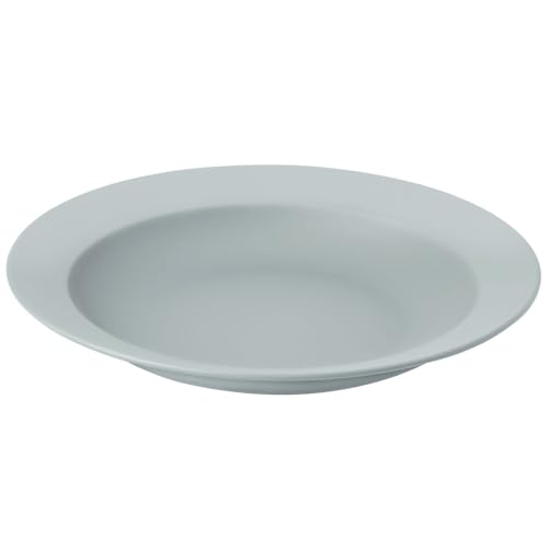 アンドエヌイー(&NE) Recopo ヘルシーディーププレート L ブルーグレー カロリーオフ カロリーカット 油カット 塩分カット 食器 皿