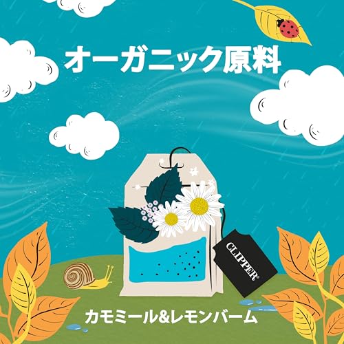 ����åѡ� �ƥ��� �������˥å� ���Υ����ԡ��� 20P �ƥ����Хå����ϡ��֥ƥ�������̲���ݡ��ȡ����ե�����ե꡼�������ꥹ�����ʥ����롢��