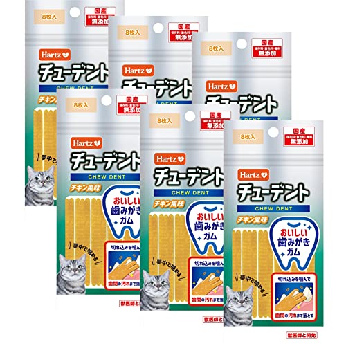 ���塼�ǥ�� for Cat ǭ�Ѥ���� �����������᤭���� ��������̣ 8���� ��6�� | �ϡ���(Hartz) | �ǥ󥿥륱�� | ���ߤ�