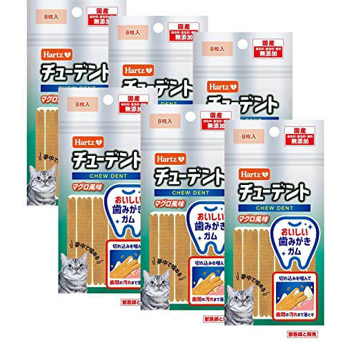 ���塼�ǥ�� for Cat ǭ�Ѥ���� �����������᤭���� �ޥ�����̣ 8���� ��6�� | �ϡ���(Hartz) | �ǥ󥿥륱�� | ���ߤ�