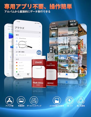 256GB USB���ꥢ�ץ����ס�����Хफ��̿���¸4in1 Phone USB���꡼ ���ޥ� �ǡ�����¸ ���դ����� iOS/Type