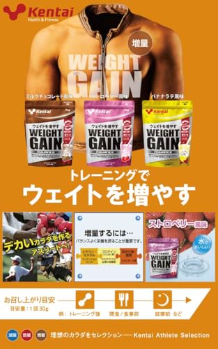 Kentai NEWウェイトゲイン アドバンス ストロベリー 1kg