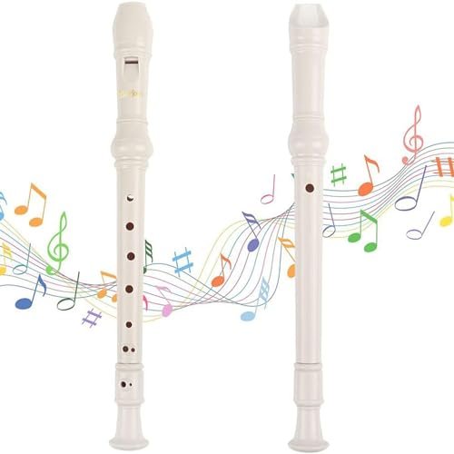 ���ץ�Υꥳ������ �ɥ��ļ�C����8��ե롼����æ��3�ܥ��å�ABS���ڥꥳ���������ݽ������Хå�������ɽ�ա˳ع����Ը��������򿧡�