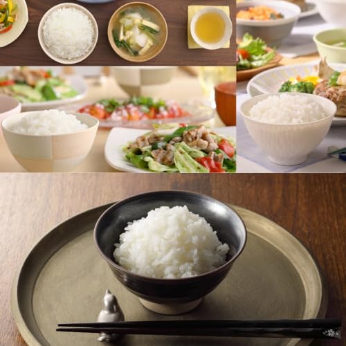 サトウのごはん あきたこまち 200g×20個