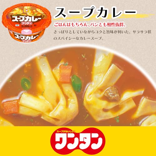 東洋水産 スープカレーワンタン 29g×12個