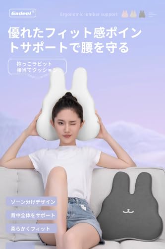 Gadeel 腰痛 クッション 低反発 ランバーサポート 背もたれ 人間工学 蒸れない通気...
