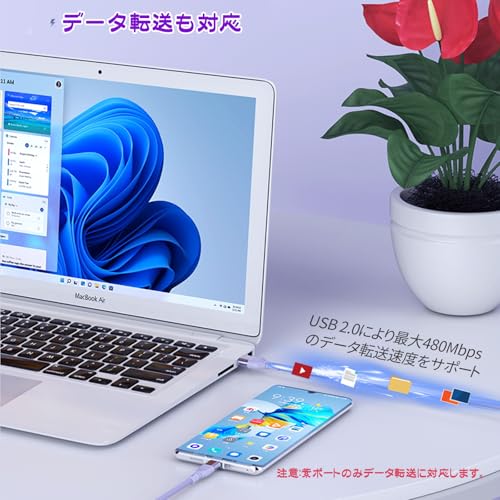 USB タイプc 充電 ケーブル 2in1 66W/6A 急速充電ケーブル データ転送 Y字 Type A ...