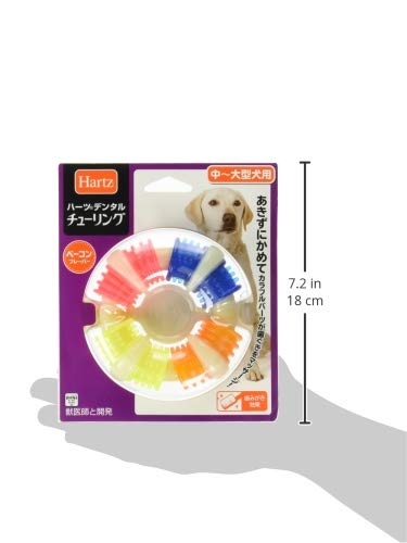 �ǥ󥿥�ȥ� ���塼��� ���Ѥ������ ���᤭������� L 4�Ĥΰۤʤ���߿��� | �ϡ���(Hartz) | �ǥ󥿥륱�� | ���ߤ���
