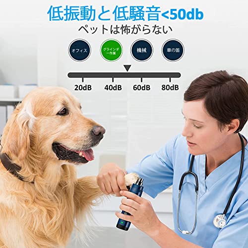 Casfuy �緿�淿���Ѥ�2�Ĥ�LED�饤�Ȥ��������������ڤ�-3�ܶ��Ϥ�2���ԡ����ŵ��ڥåȤ����ڤ꽼�ż��Ť����ˤߤΤʤ�­���롼�ߥ󥰡���