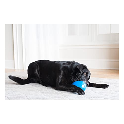 PLATZ PET SUPPLIES & FUN ���Ѥ������ �ᥬ���å� M������