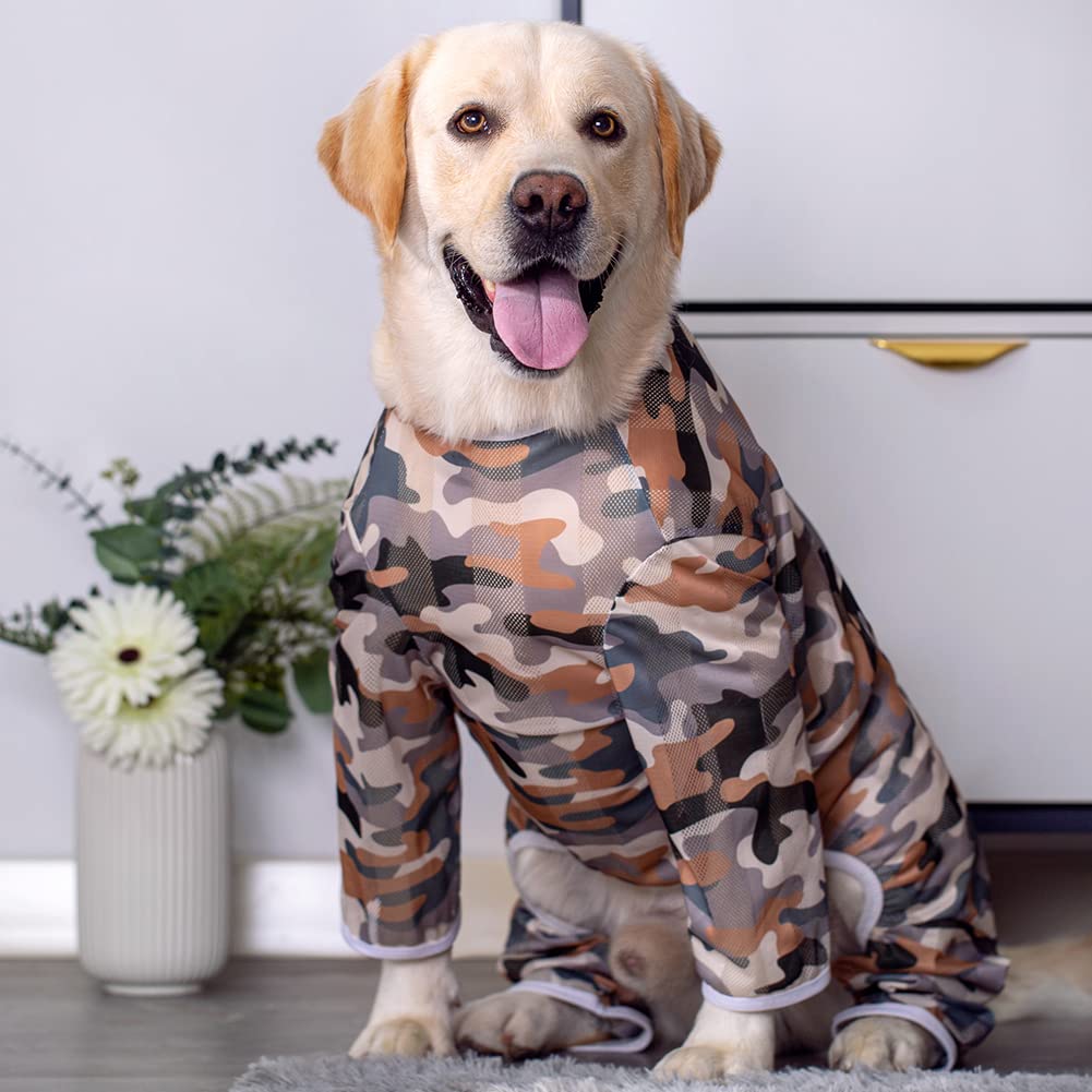 KUVEELA PET ���� �� ������ �� �� �� ���� �ɥå������� T����� ���гݤ� ������ ���Ƥ��ɤ� æ���ݸ� �̵��� ������� ��