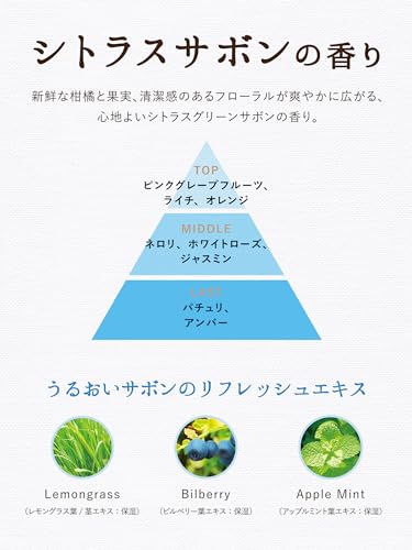 2個セット ダイアン ボタニカル ボディソープ 大容量 [シトラスサボンの香り] 敏感肌もやさしく洗うダイアンボタニカル リフレッシュ&モイスト