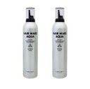2本セット ルベル ヘアメイクアクア ムース 350g ハード