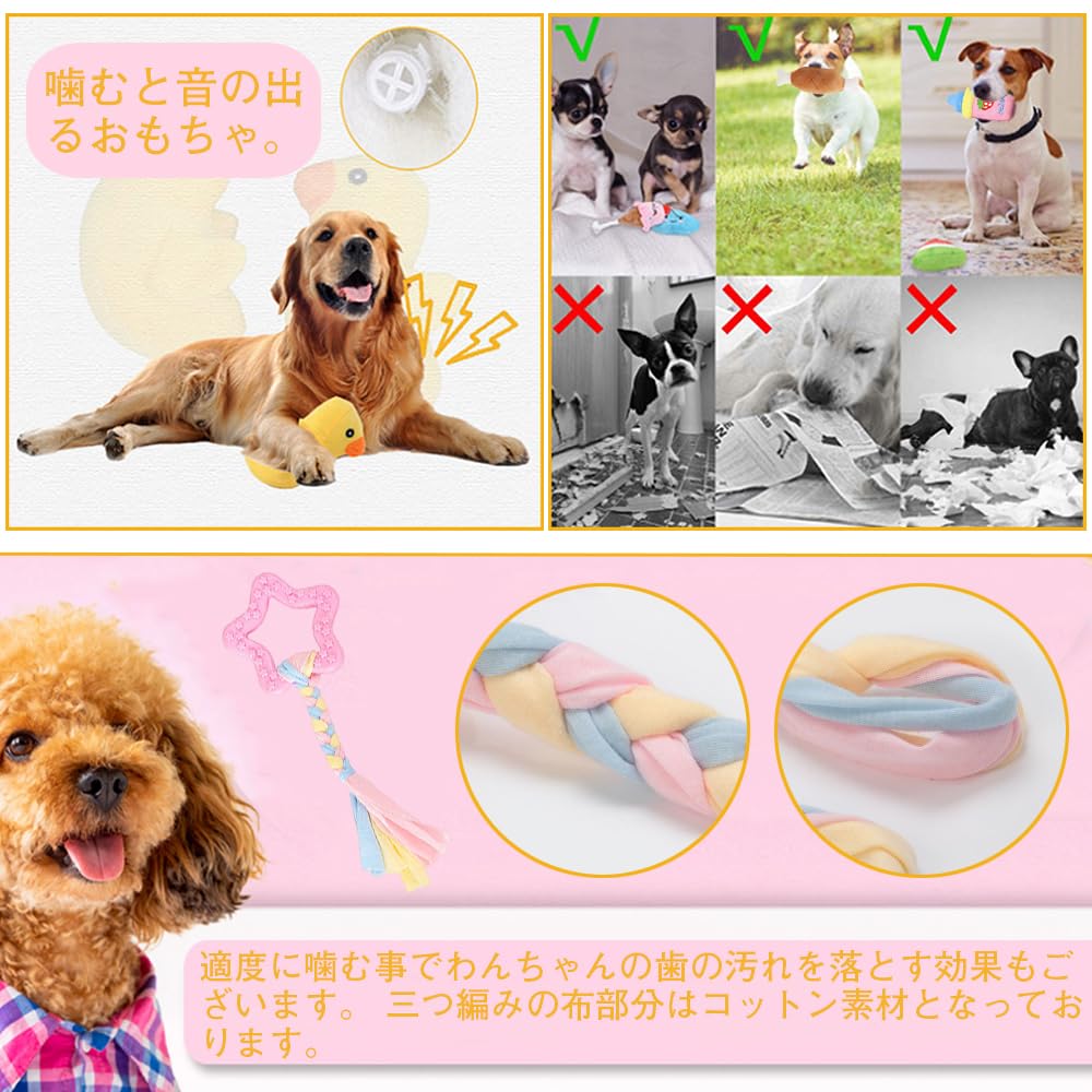 YBGGJO ���Τ������ �������פ������ 6�ĥ��å� �̤������ ���νФ뤪����� �ꤲ�뤪����� �ڥåȤ������ �İ��� ���� ���� ��