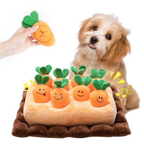   ѳप ˤ󤸤Ȫ ˤ󤸤2 Ρޥå ΰ ڥå ư­ ȥ쥹 Ȥ˲...