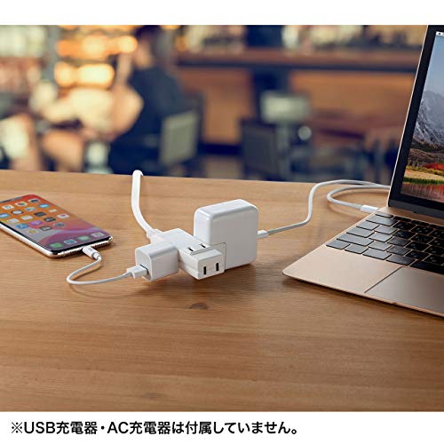(まとめ）Ri-JAPAN データ用CD-R 100枚 CD-R700WPX100CK C【×2セット】 (メーカー直送)